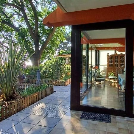Brezza Marina - Appartamento In Villa Fronte Mare ترييستي المظهر الخارجي الصورة