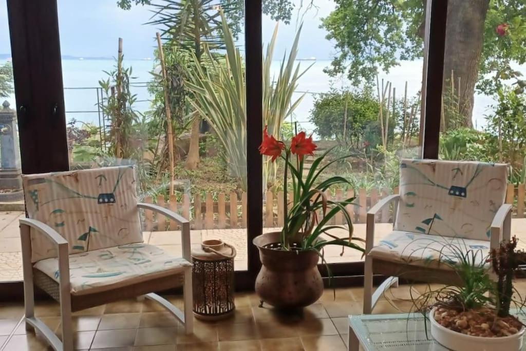 Brezza Marina - Appartamento In Villa Fronte Mare ترييستي المظهر الخارجي الصورة