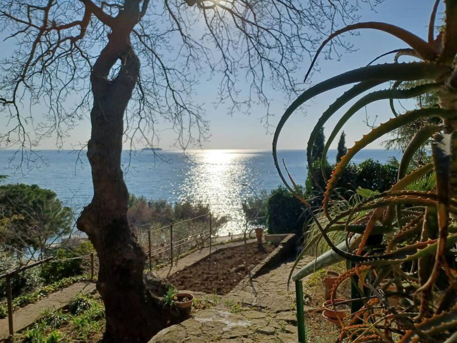 Brezza Marina - Appartamento In Villa Fronte Mare ترييستي المظهر الخارجي الصورة