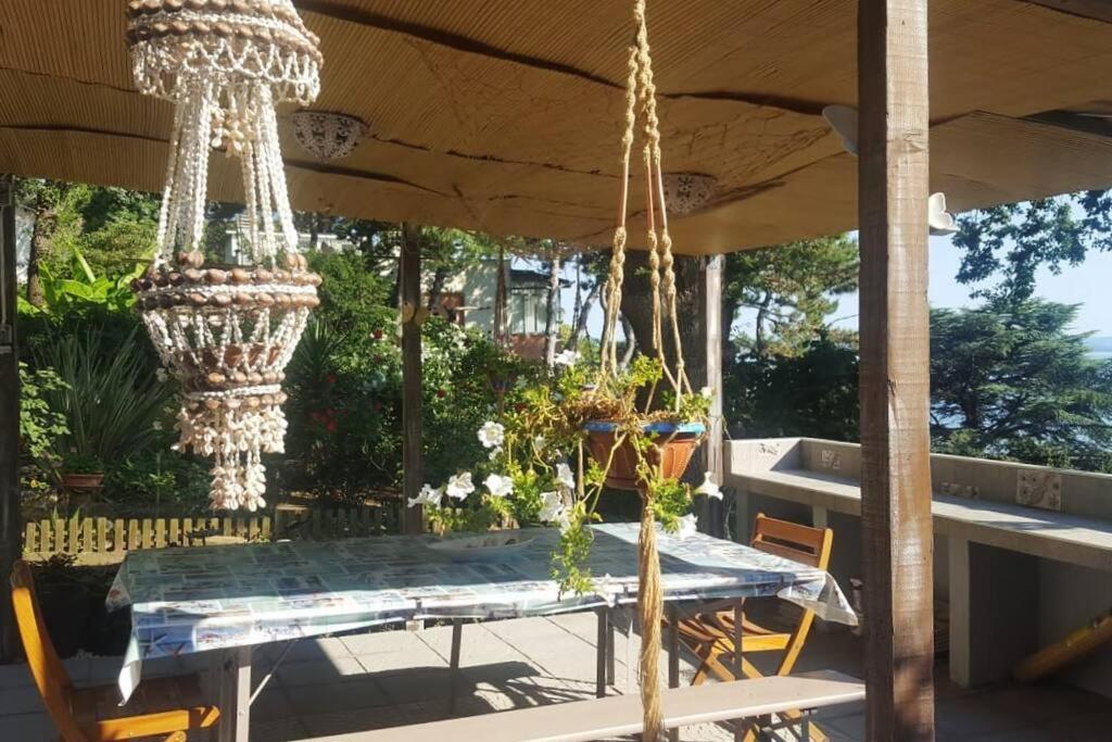 Brezza Marina - Appartamento In Villa Fronte Mare ترييستي المظهر الخارجي الصورة